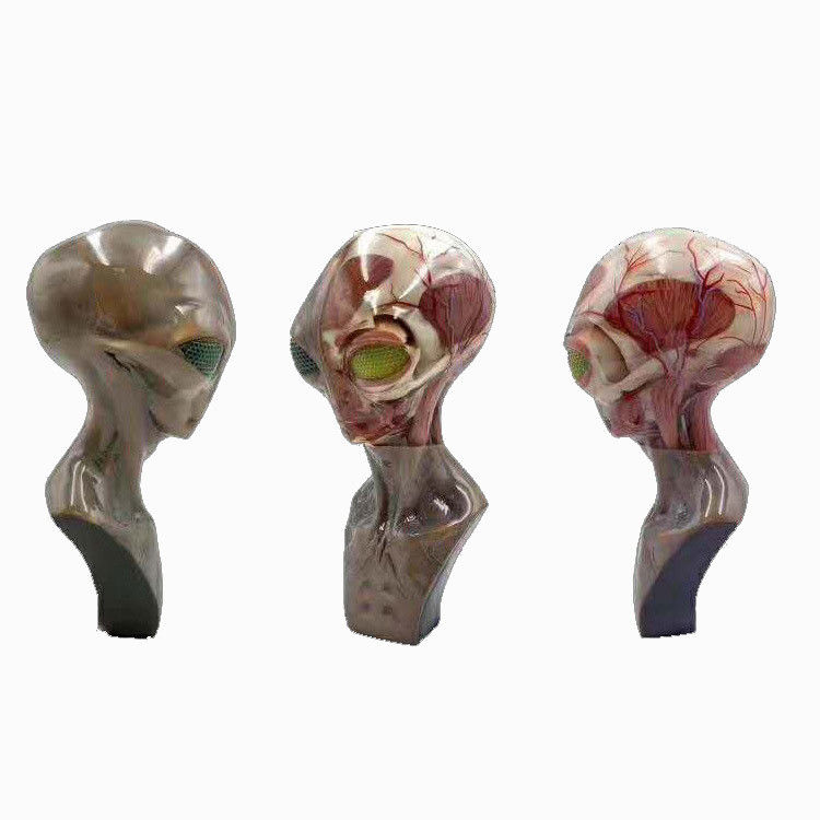 Servizio di stampa 3D multicolore ad alta risoluzione con processo SLM