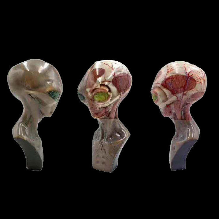 Servizio di stampa 3D multicolore ad alta risoluzione con processo SLM
