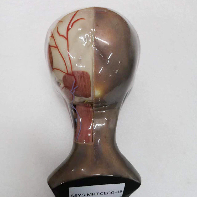 Servizio di stampa 3D multicolore in resina di plastica superficie di rivestimento integrata